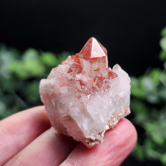 Orange River Phantom Quartz Crystal Cluster: Hematite Inclusions