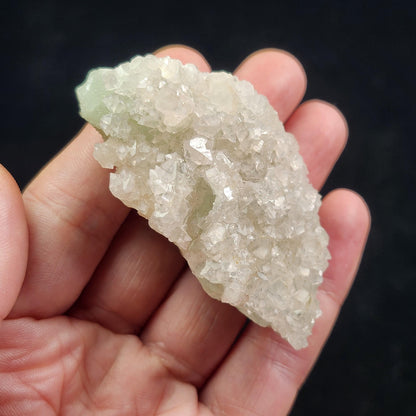 Datolite Crystal with Apophyllite Druze 60.8g