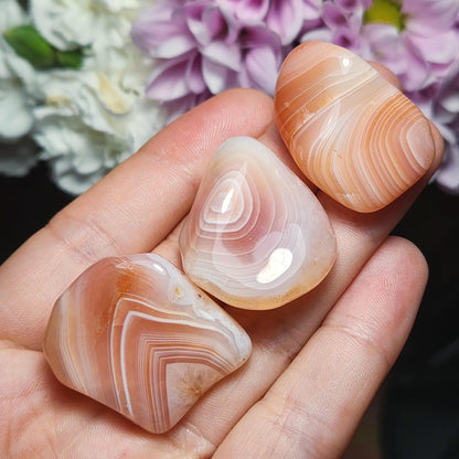 Apricot Botswana Agate Crystal