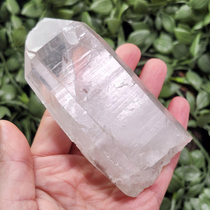 Lemurian Quartz Crystal 254g