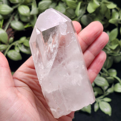 Lemurian Quartz Crystal 254g
