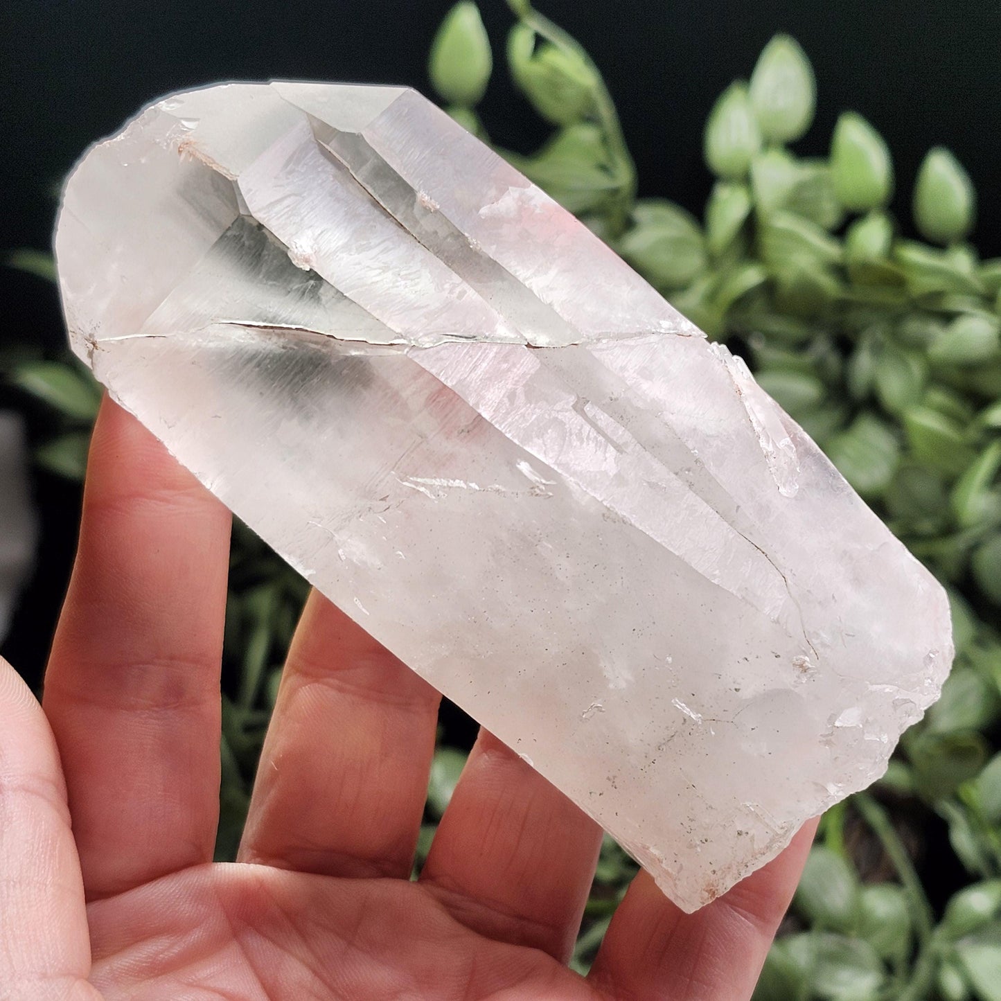 Lemurian Quartz Crystal 254g