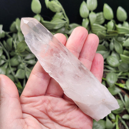 Lemurian Quartz Crystal 110g