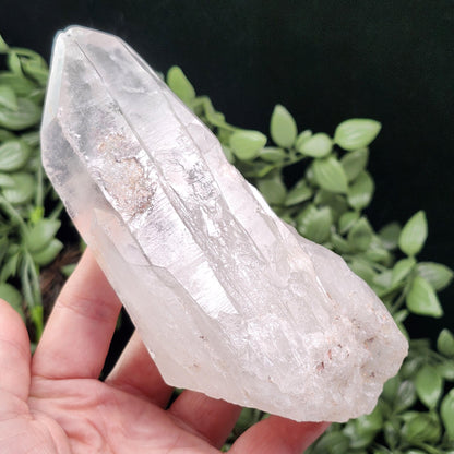 Lemurian Quartz Crystal 411g