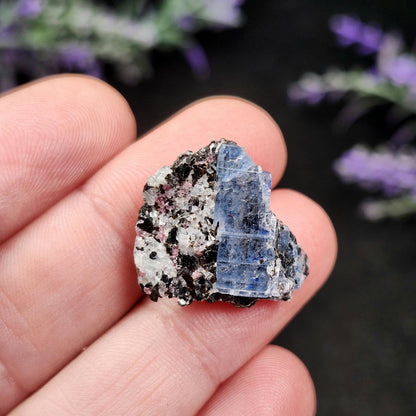 Kyanite, Garnet, & Biotite Specimen