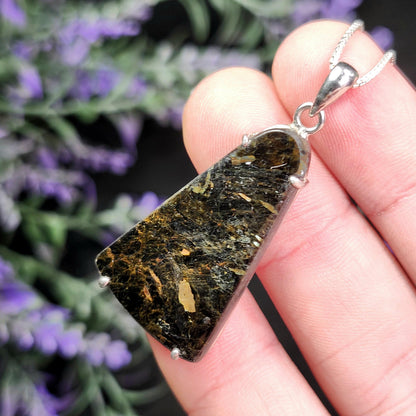 Greenland Nuummite Pendant, Rare Authentic Collector's Crystal