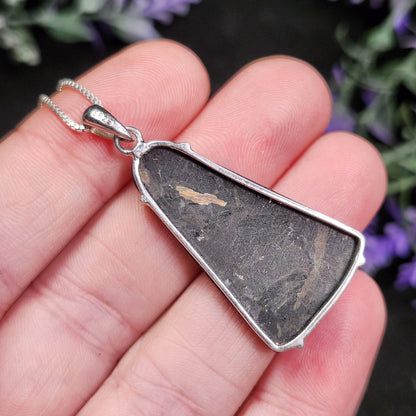 Greenland Nuummite Pendant, Rare Authentic Collector's Crystal