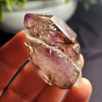 Enhydro Shangaan Amethyst