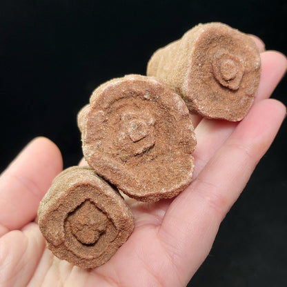 Moroccan Sand Concretion