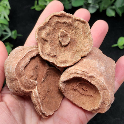 Moroccan Sand Concretion
