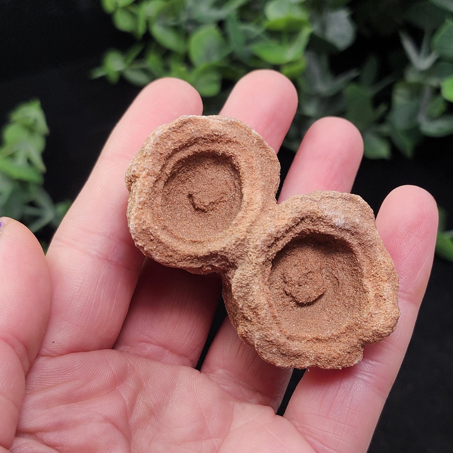 Moroccan Sand Concretion