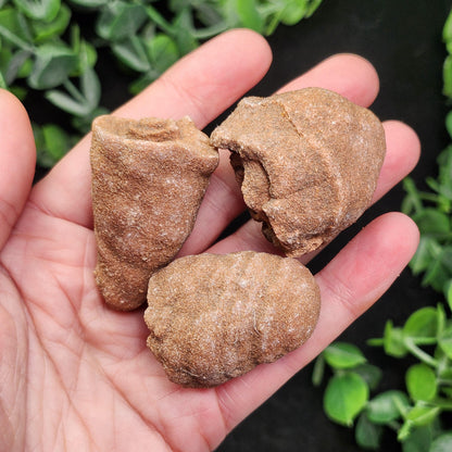 Moroccan Sand Concretion