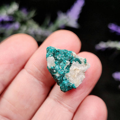 Dioptase Cluster