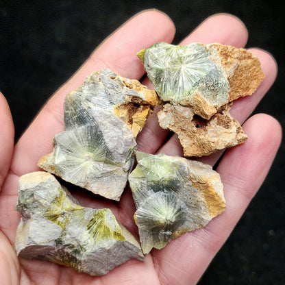 Wavellite Radial Crystal Specimen