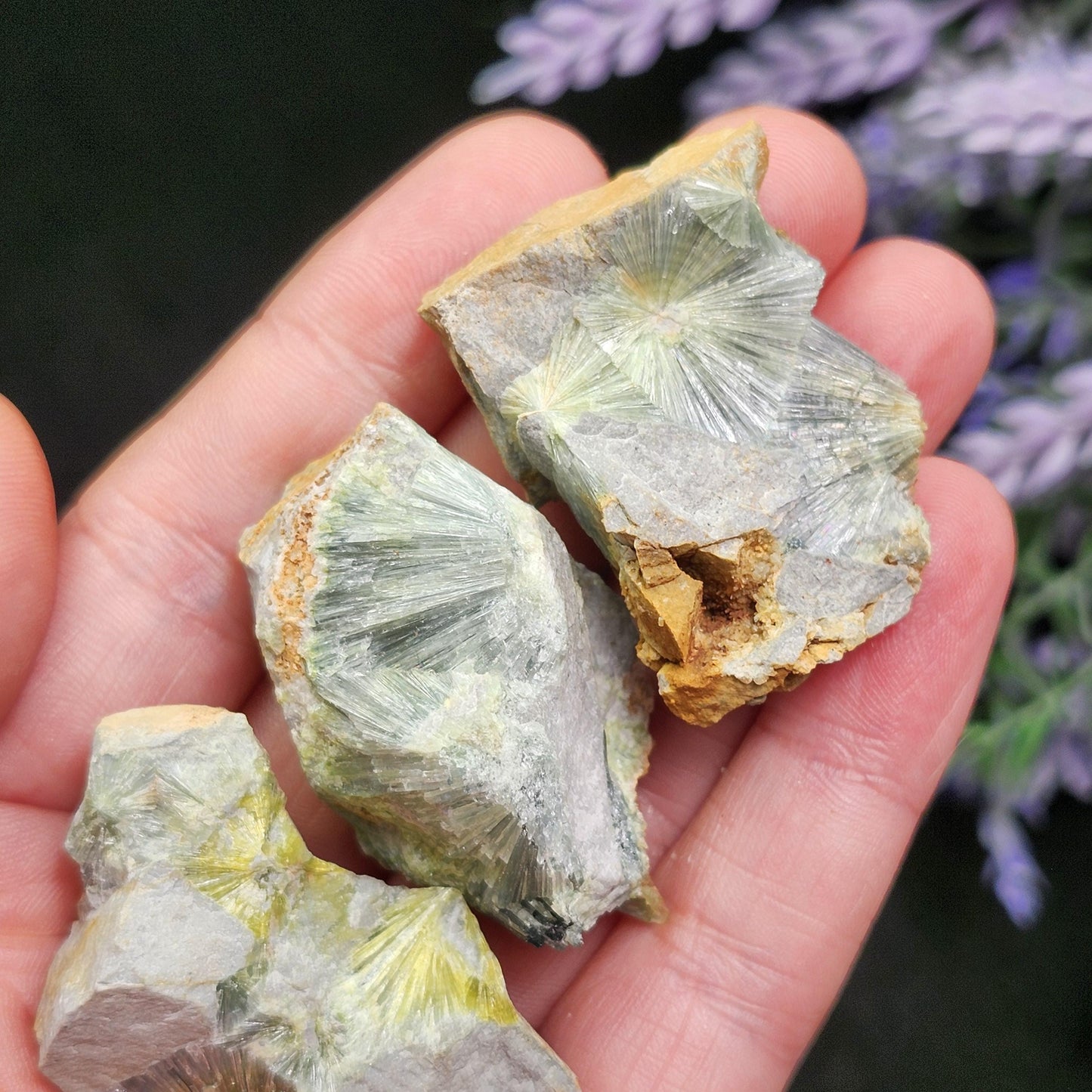 Wavellite Radial Crystal Specimen