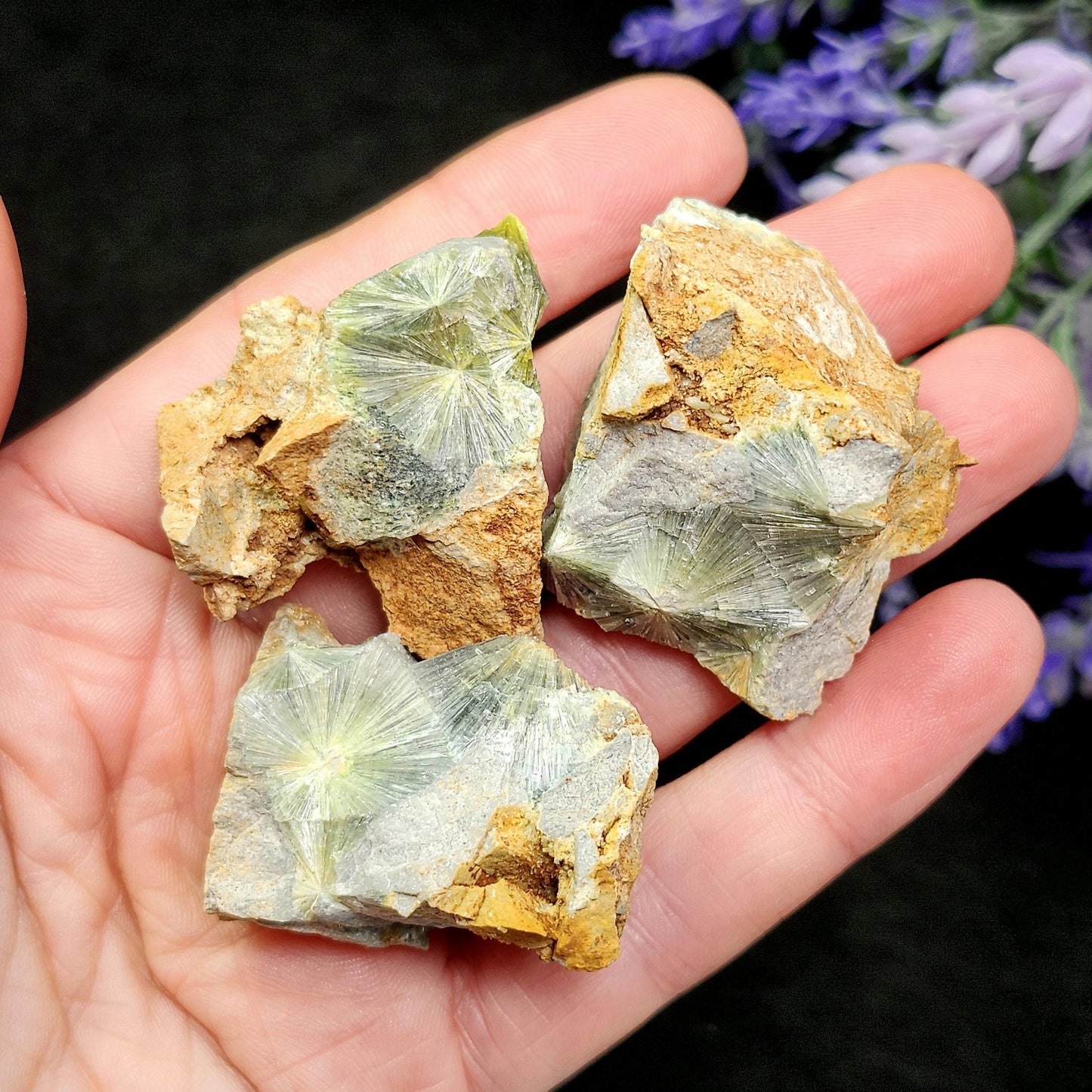 Wavellite Radial Crystal Specimen