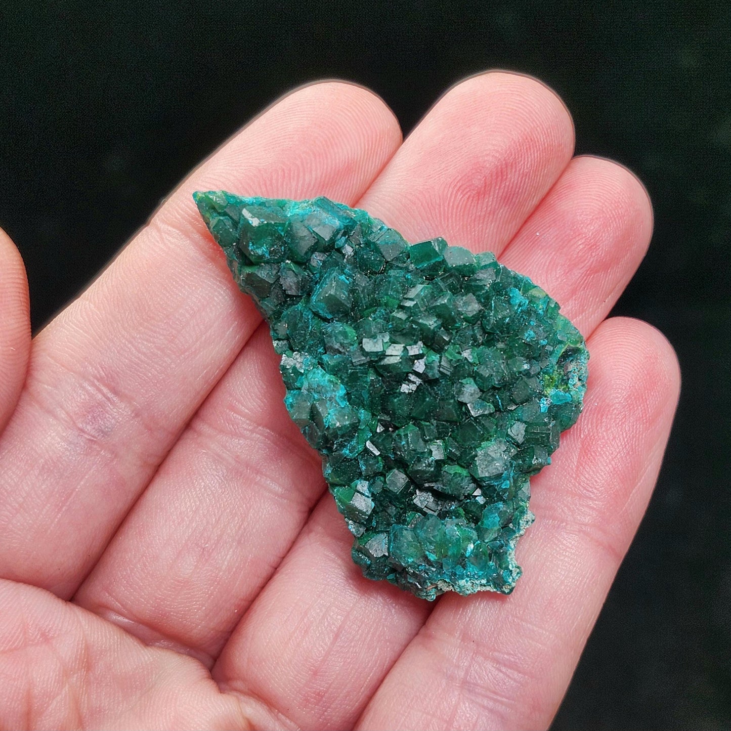 Dioptase Crystal 18.4g
