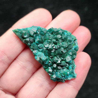 Dioptase Crystal 18.4g