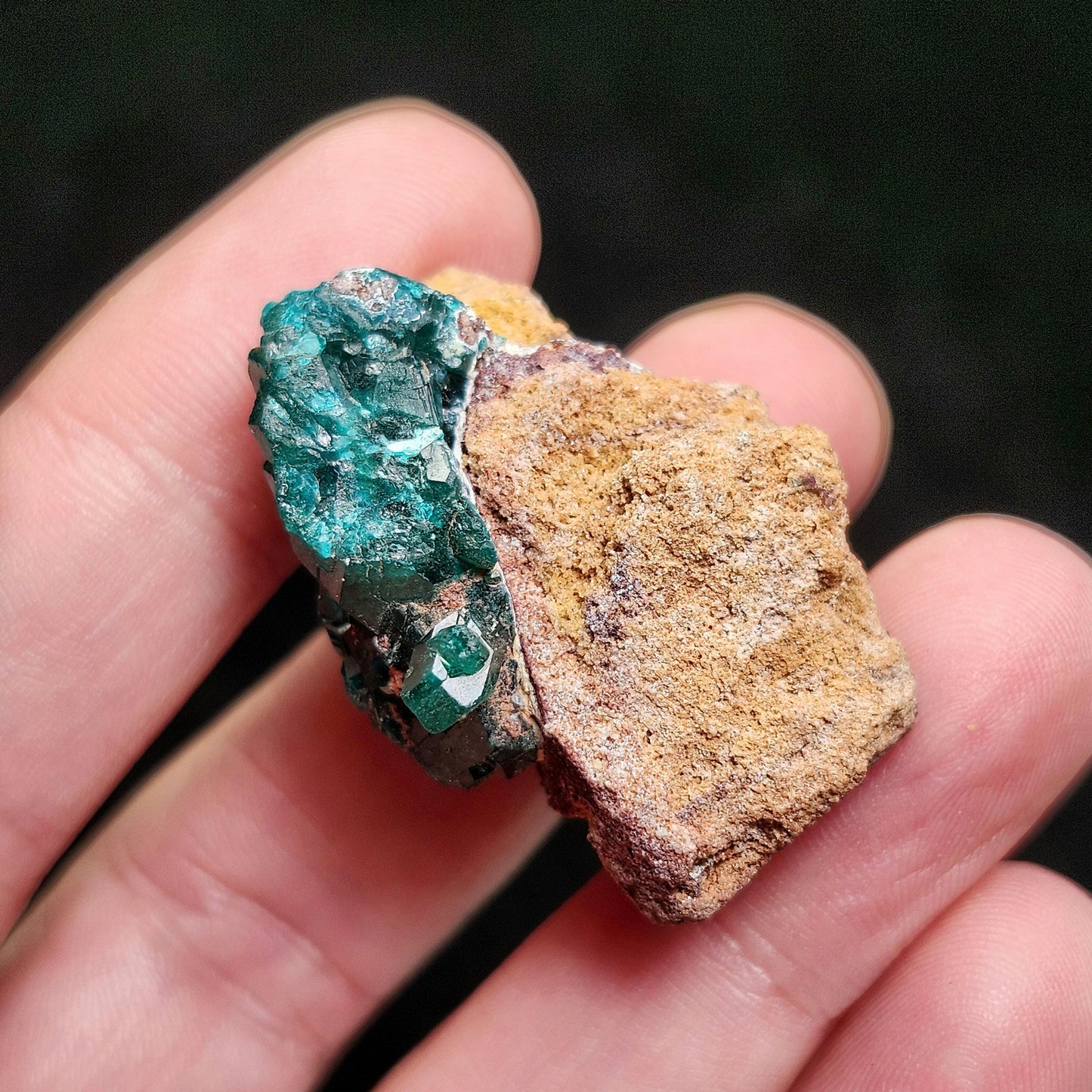 Dioptase Crystal 14.8g