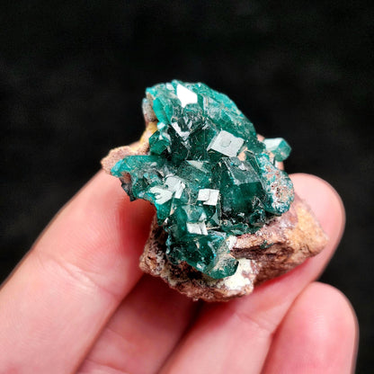 Dioptase Crystal 14.8g