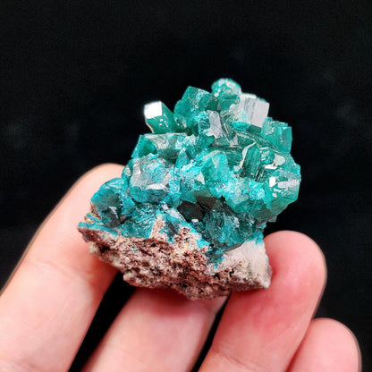 Dioptase Crystal 50.7g