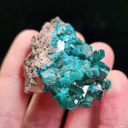 Dioptase Crystal 50.7g