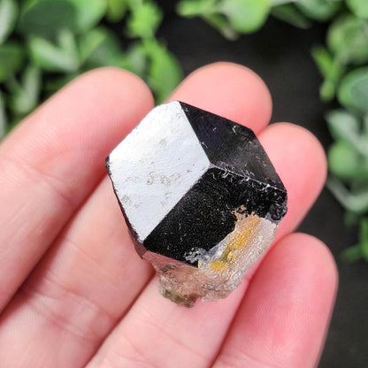 Hyalite Opal & Black Tourmaline