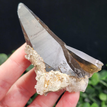 Hyalite Opal on Smoky Quartz Cluster 79g