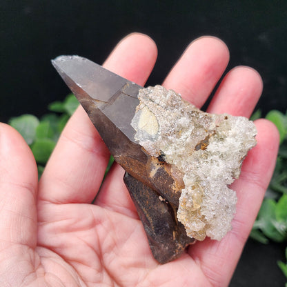 Hyalite Opal on Smoky Quartz Cluster 79g
