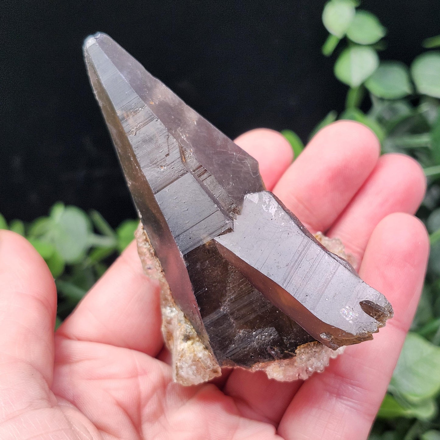 Hyalite Opal on Smoky Quartz Cluster 79g