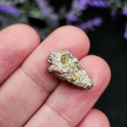 Michigan "Halfbreed" Silver Specimen