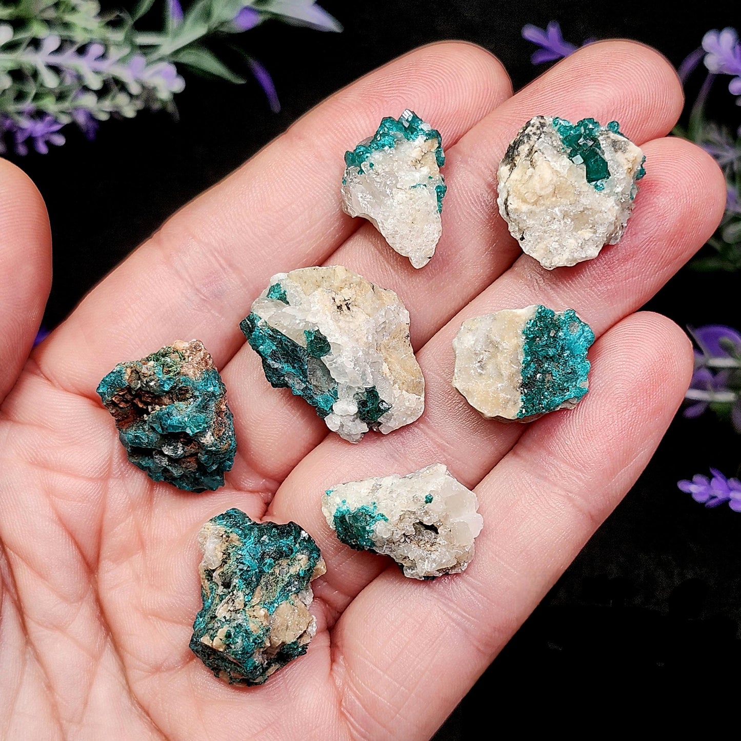 Dioptase Cluster