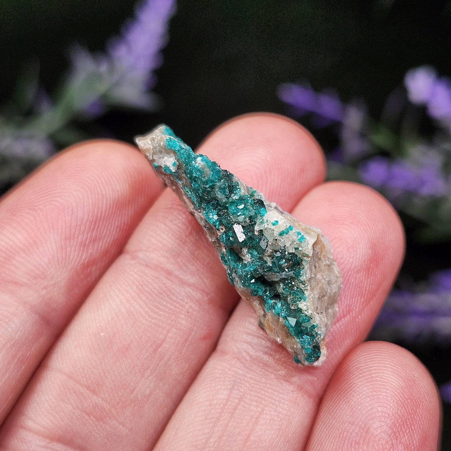 Dioptase Cluster