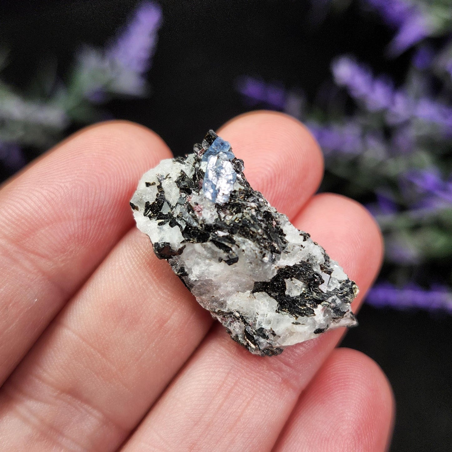 Kyanite, Garnet, & Biotite Specimen