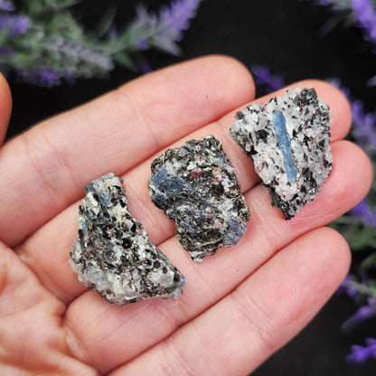 Kyanite, Garnet, & Biotite Specimen