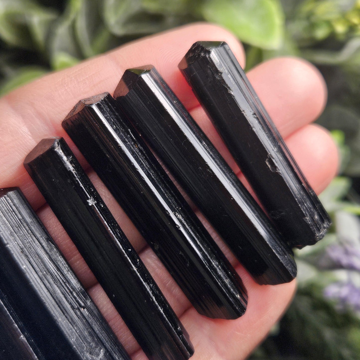 Black Tourmaline Crystal Wand, 1.5"+ Terminated & Natural