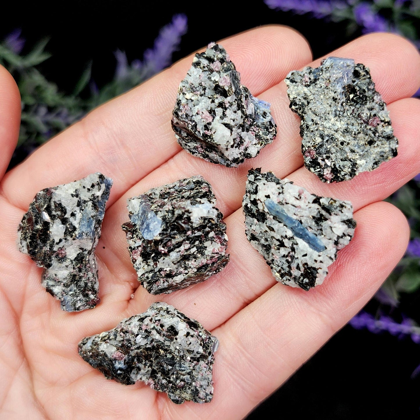 Kyanite, Garnet, & Biotite Specimen