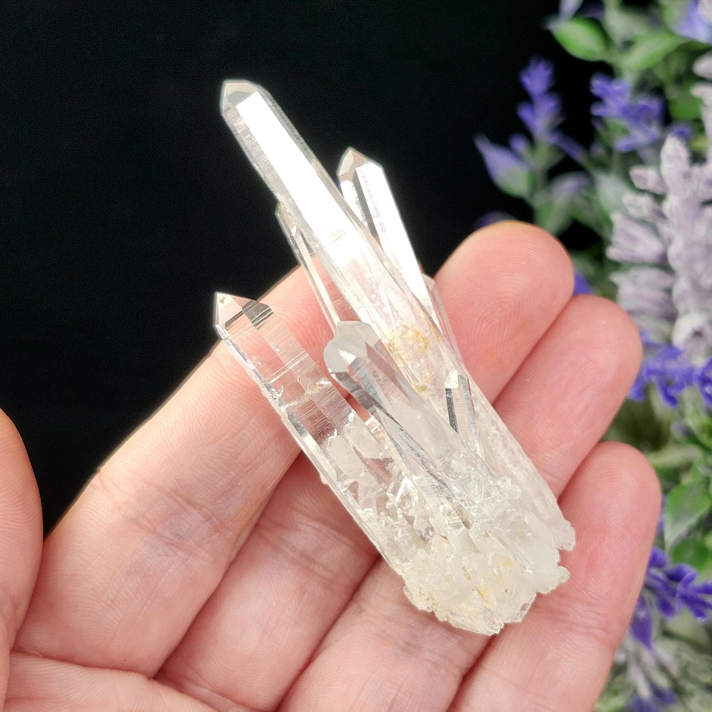 Colombian Lemurian Crystal