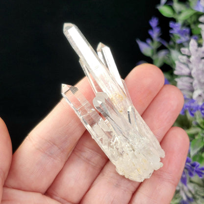 Colombian Lemurian Crystal