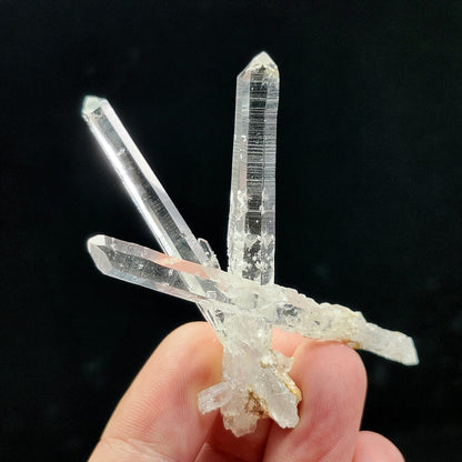 Colombian Lemurian Crystal
