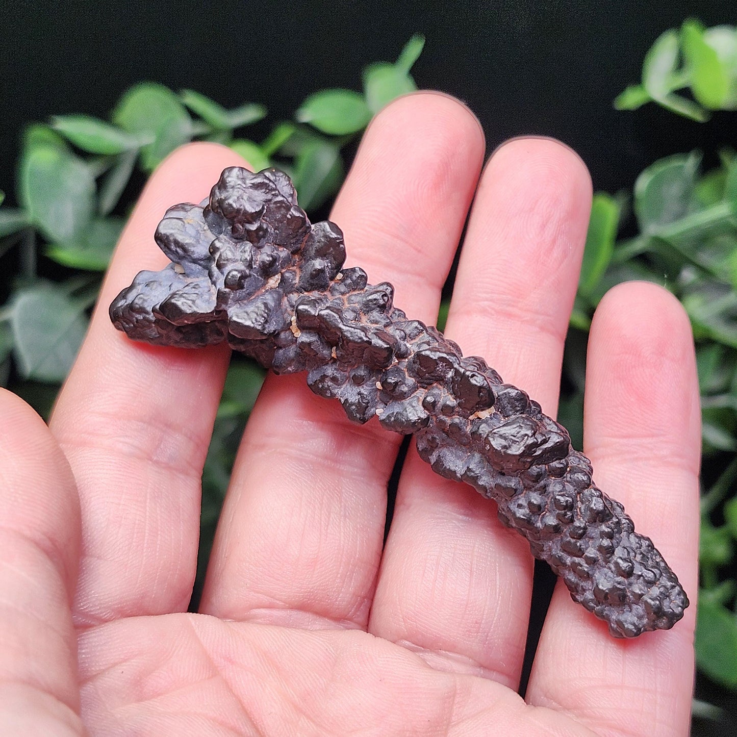 Angel Chime Prophecy Stone 34g