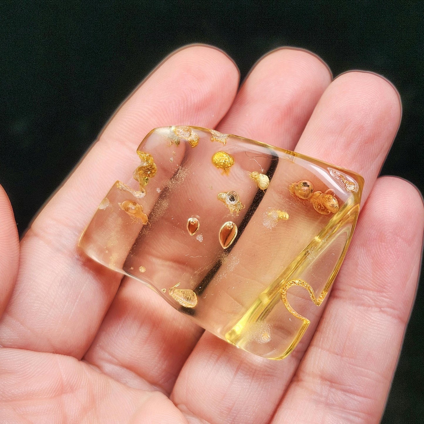 MOVING Enhydro AMBER with Bugs 8g