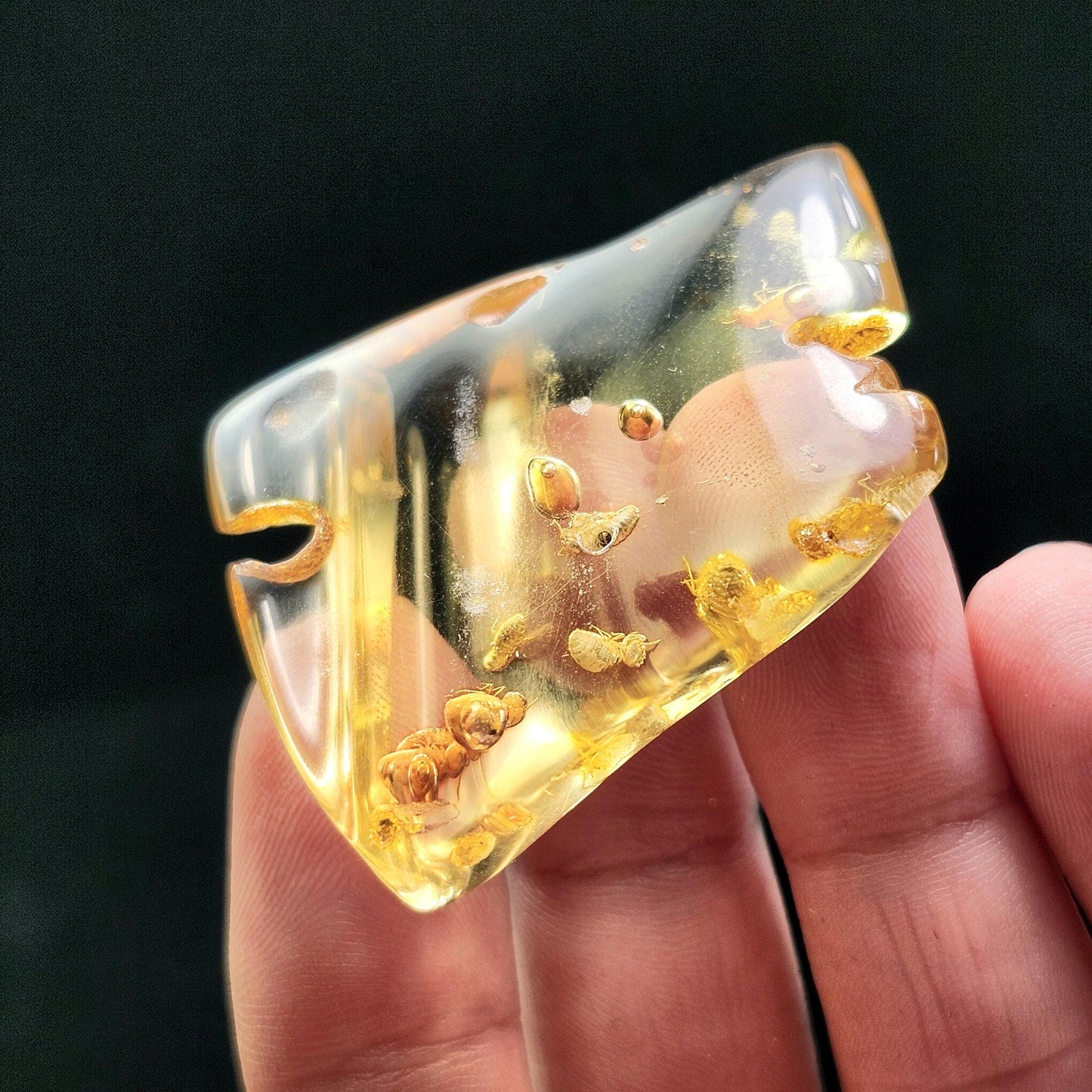 MOVING Enhydro AMBER with Bugs 8g