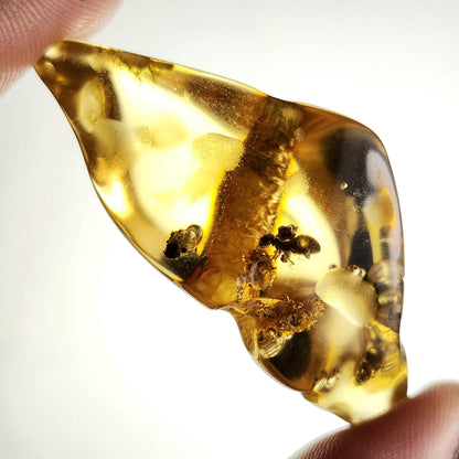 Enhydro AMBER with Bugs 8.8g