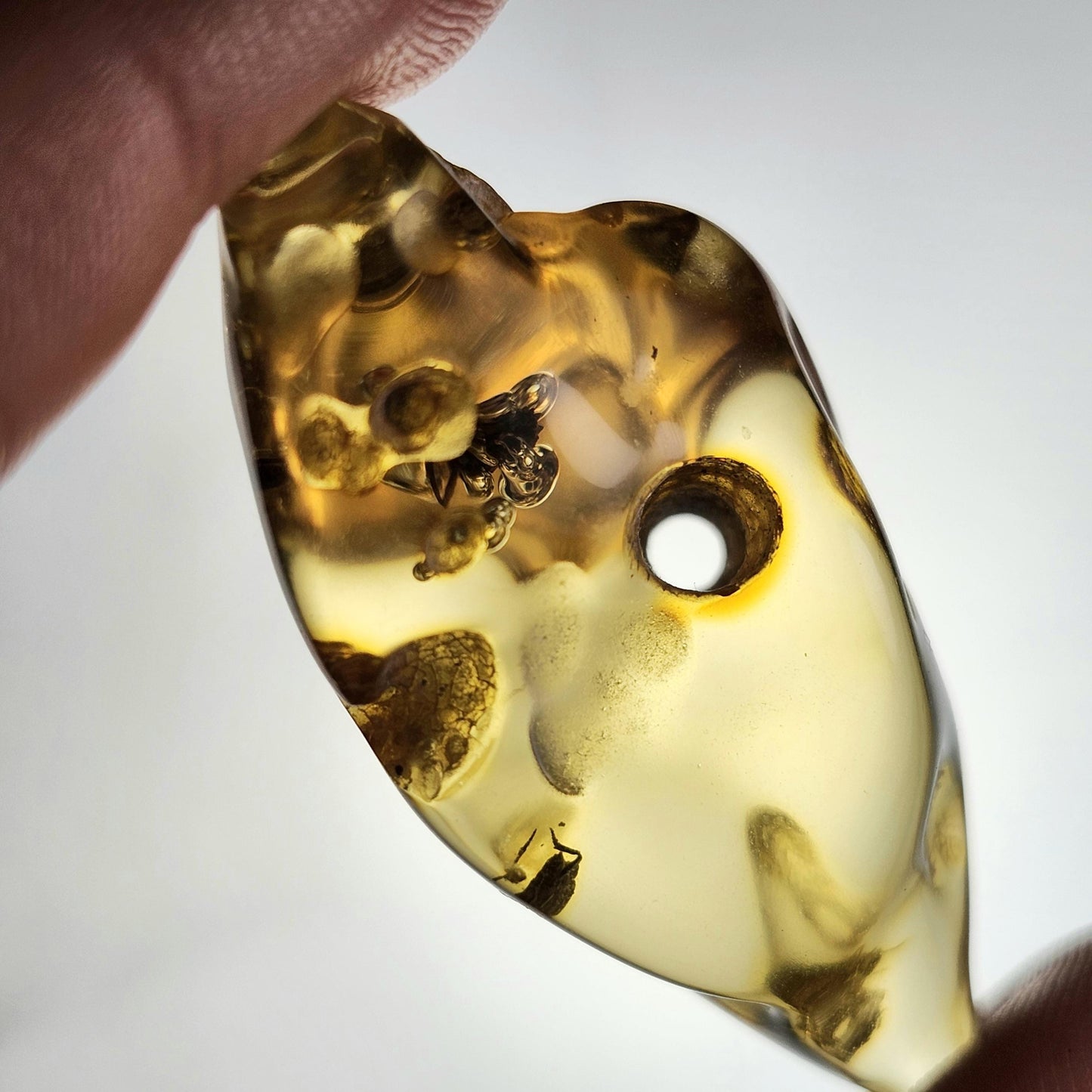 Enhydro AMBER with Bugs 8.8g