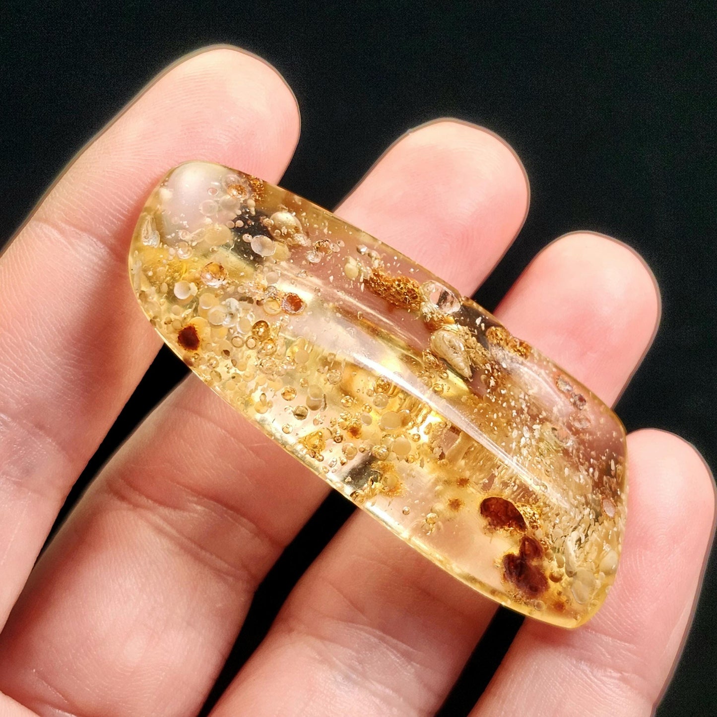 Amber with Moving Enhydro & Insects 6.8g