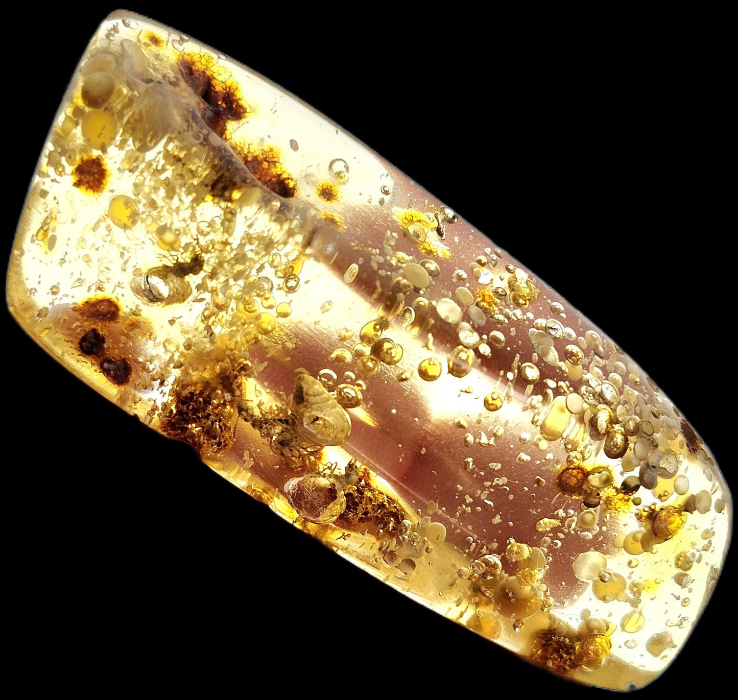 Amber with Moving Enhydro & Insects 6.8g