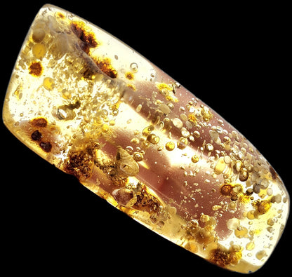 Amber with Moving Enhydro & Insects 6.8g