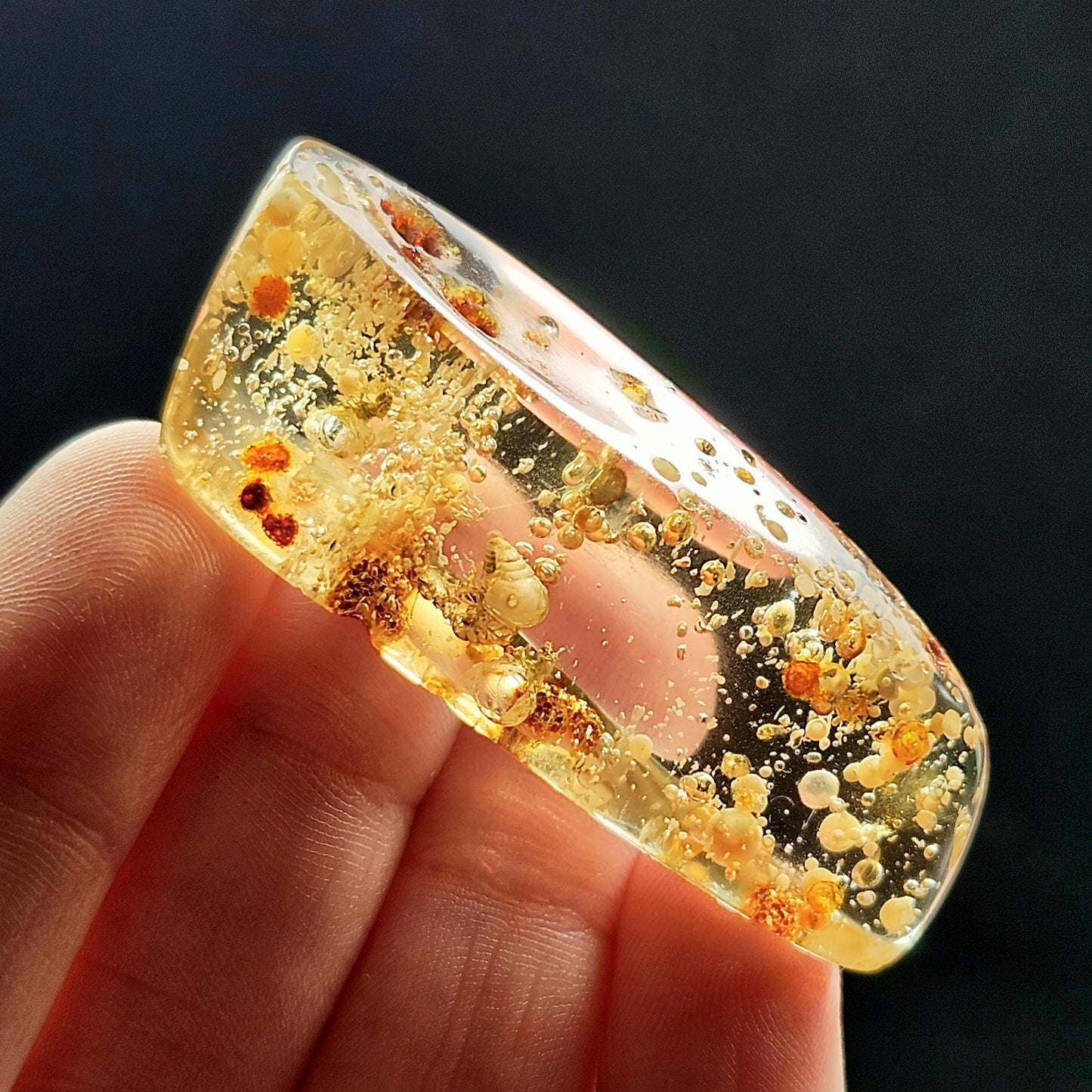 Amber with Moving Enhydro & Insects 6.8g