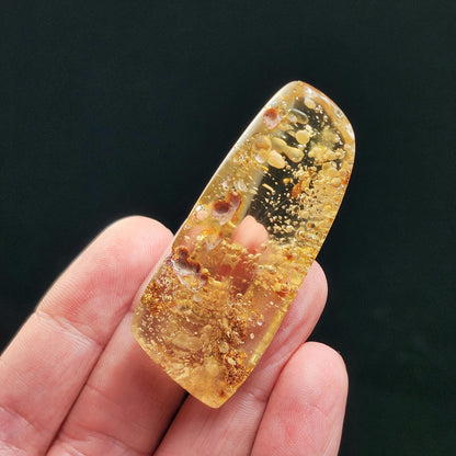 Amber with Moving Enhydro & Insects 6.8g